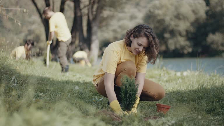 Best Lawn Disease Treatment  in East Newark, NJ