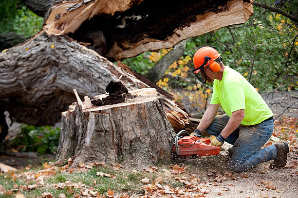 Best Soil Testing and Treatment  in East Newark, NJ