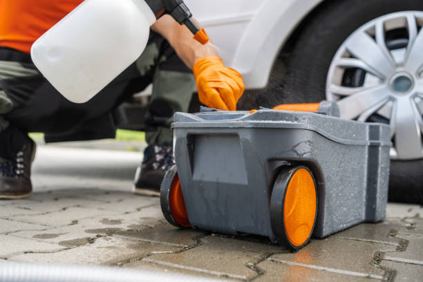 Best Tree Mulching  in East Newark, NJ