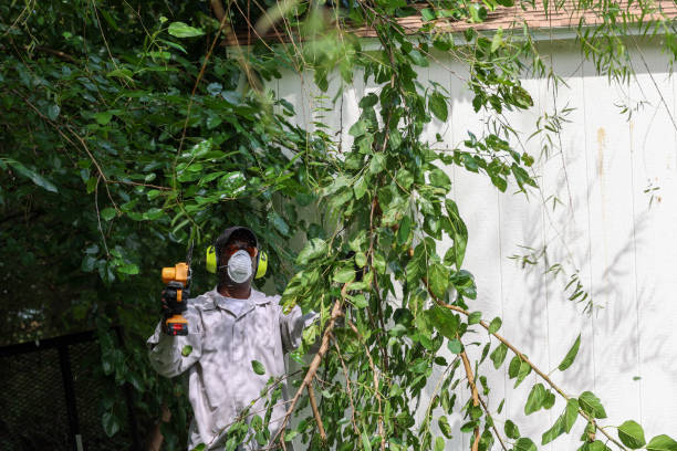Best Tree Preservation Services  in East Newark, NJ